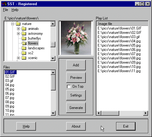 SST Screenshot
